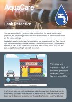 Leak Detection infographic