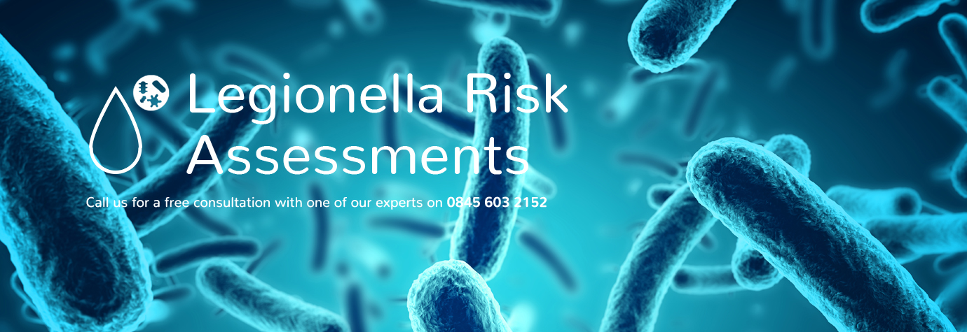 Legionella bacteria magnified