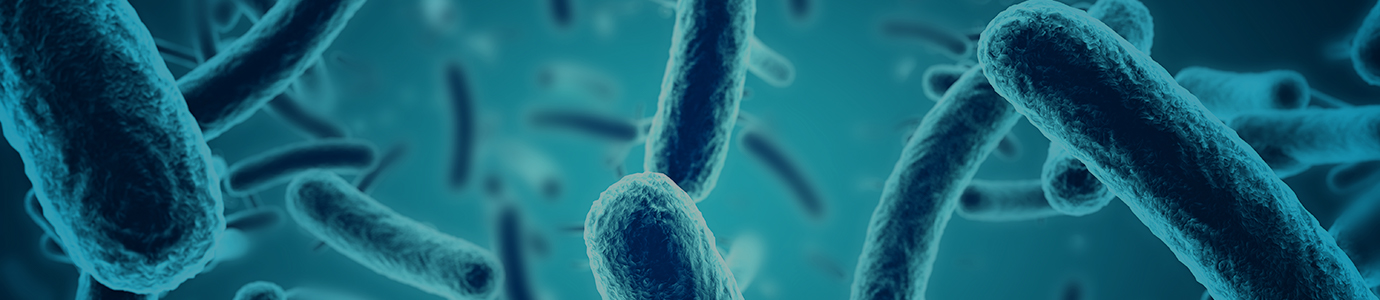 Legionella bacteria magnified